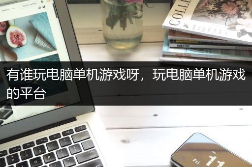 有谁玩电脑单机游戏呀，玩电脑单机游戏的平台