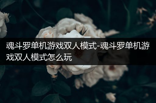 魂斗罗单机游戏双人模式-魂斗罗单机游戏双人模式怎么玩
