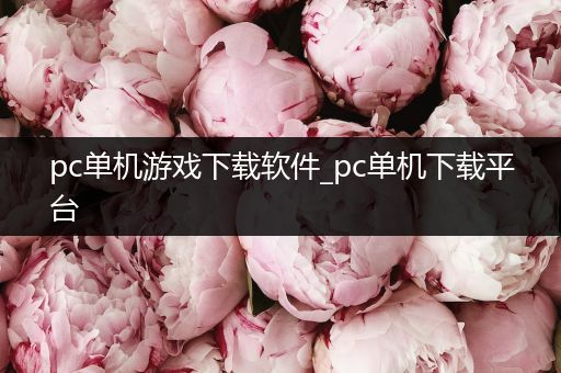 pc单机游戏下载软件_pc单机下载平台