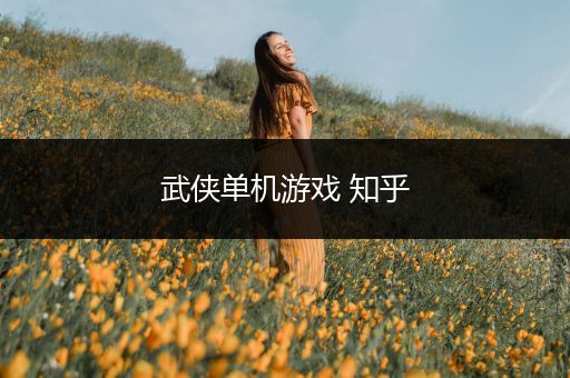 武侠单机游戏 知乎