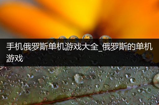 手机俄罗斯单机游戏大全_俄罗斯的单机游戏