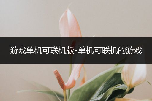 游戏单机可联机版-单机可联机的游戏