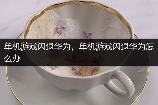 单机游戏闪退华为，单机游戏闪退华为怎么办