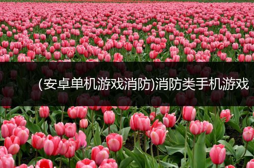 （安卓单机游戏消防)消防类手机游戏