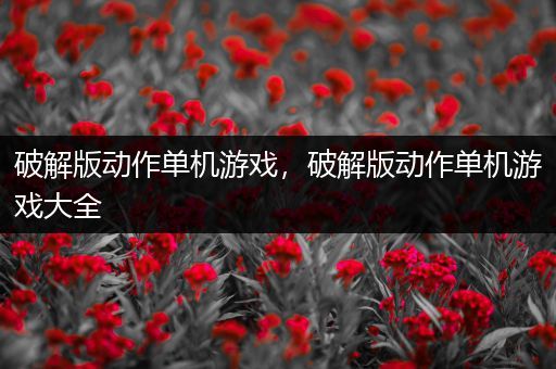 破解版动作单机游戏，破解版动作单机游戏大全