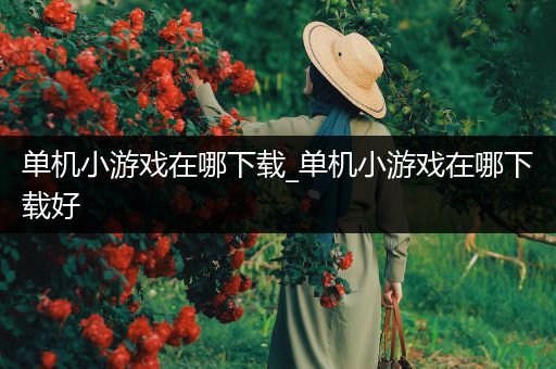 单机小游戏在哪下载_单机小游戏在哪下载好
