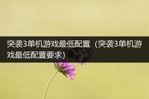 突袭3单机游戏最低配置（突袭3单机游戏最低配置要求）