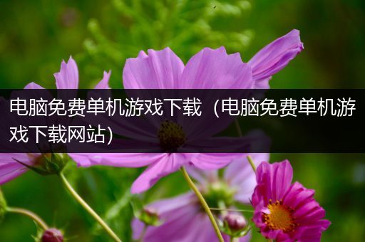 电脑免费单机游戏下载（电脑免费单机游戏下载网站）