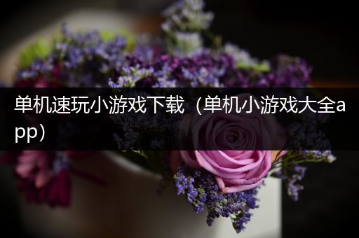 单机速玩小游戏下载（单机小游戏大全app）