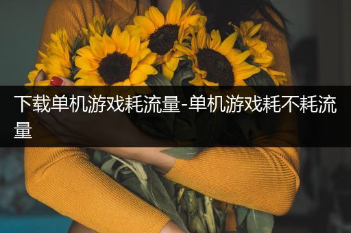 下载单机游戏耗流量-单机游戏耗不耗流量