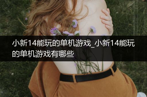 小新14能玩的单机游戏_小新14能玩的单机游戏有哪些