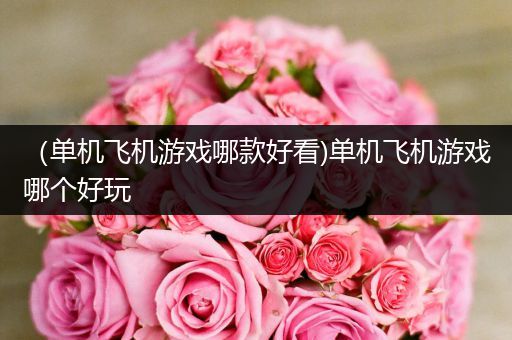 （单机飞机游戏哪款好看)单机飞机游戏哪个好玩