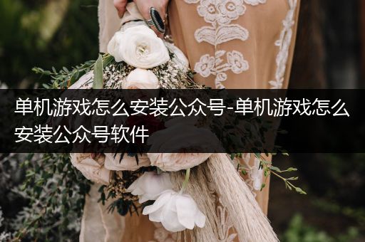 单机游戏怎么安装公众号-单机游戏怎么安装公众号软件