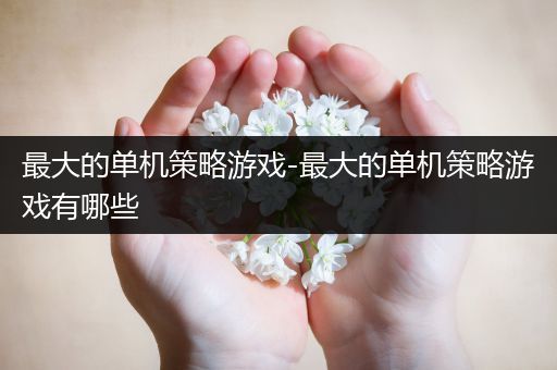 最大的单机策略游戏-最大的单机策略游戏有哪些