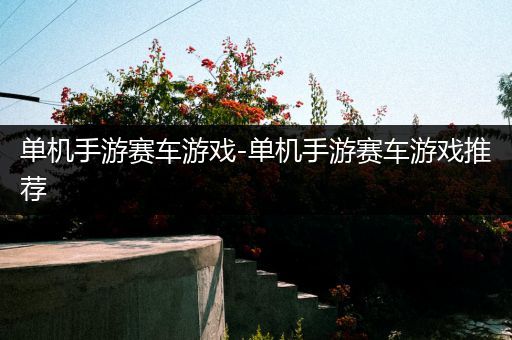 单机手游赛车游戏-单机手游赛车游戏推荐