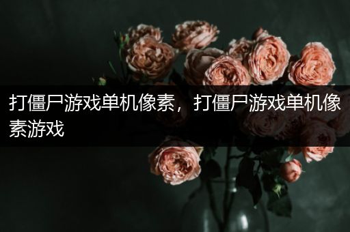 打僵尸游戏单机像素，打僵尸游戏单机像素游戏