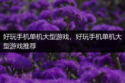 好玩手机单机大型游戏，好玩手机单机大型游戏推荐