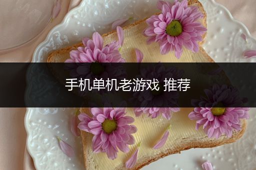 手机单机老游戏 推荐