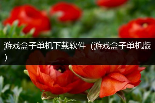 游戏盒子单机下载软件（游戏盒子单机版）