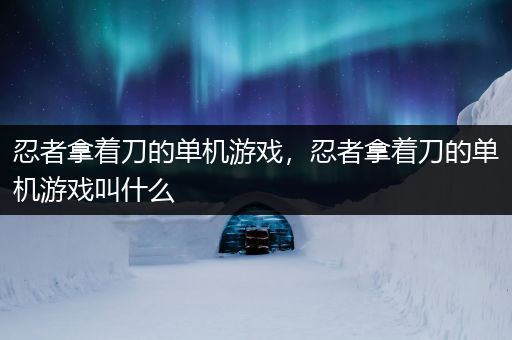 忍者拿着刀的单机游戏，忍者拿着刀的单机游戏叫什么