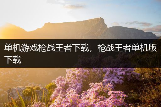 单机游戏枪战王者下载，枪战王者单机版下载