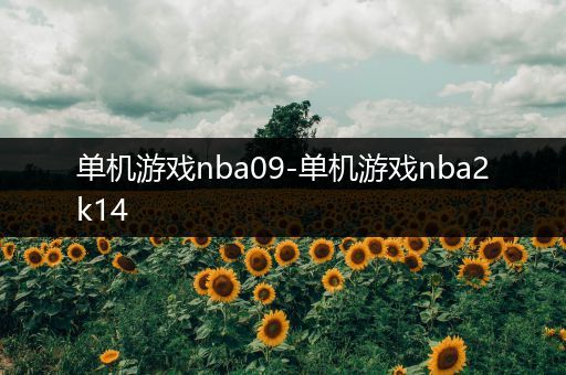 单机游戏nba09-单机游戏nba2k14