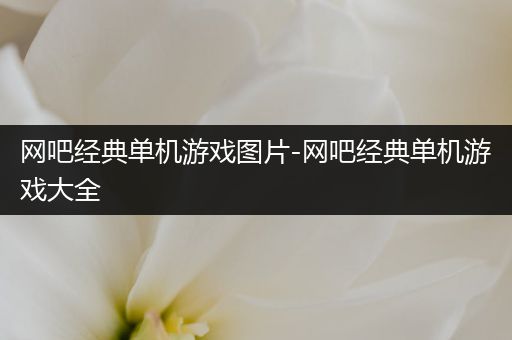 网吧经典单机游戏图片-网吧经典单机游戏大全