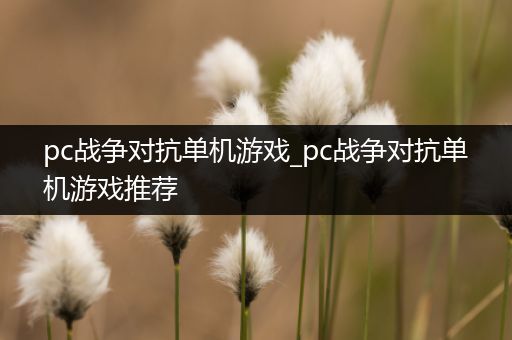 pc战争对抗单机游戏_pc战争对抗单机游戏推荐