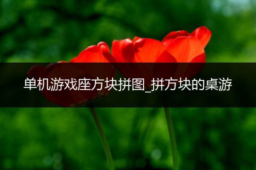 单机游戏座方块拼图_拼方块的桌游