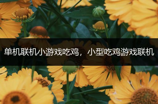 单机联机小游戏吃鸡，小型吃鸡游戏联机