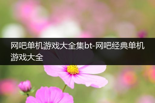 网吧单机游戏大全集bt-网吧经典单机游戏大全