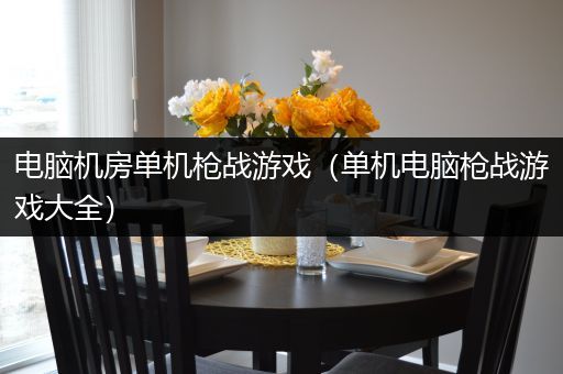 电脑机房单机枪战游戏（单机电脑枪战游戏大全）