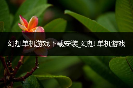 幻想单机游戏下载安装_幻想 单机游戏