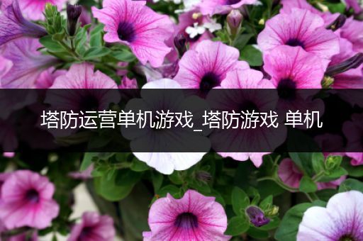 塔防运营单机游戏_塔防游戏 单机