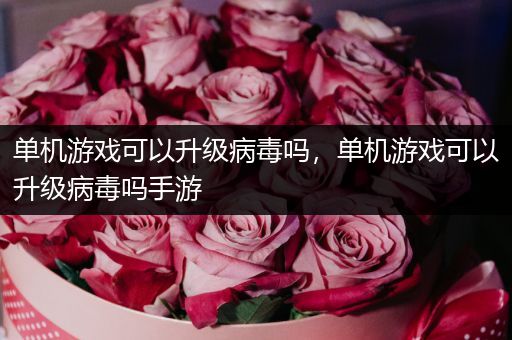 单机游戏可以升级病毒吗，单机游戏可以升级病毒吗手游