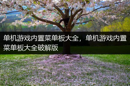 单机游戏内置菜单板大全，单机游戏内置菜单板大全破解版