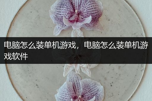 电脑怎么装单机游戏，电脑怎么装单机游戏软件