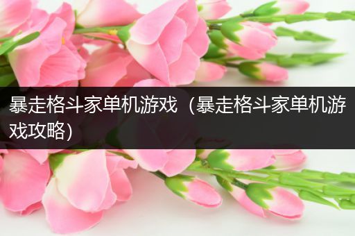 暴走格斗家单机游戏（暴走格斗家单机游戏攻略）
