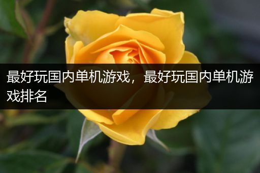 最好玩国内单机游戏，最好玩国内单机游戏排名