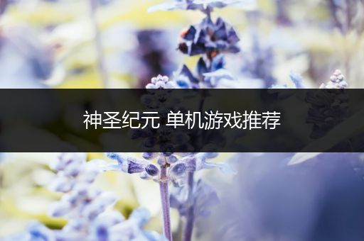 神圣纪元 单机游戏推荐