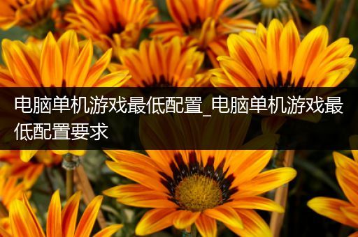 电脑单机游戏最低配置_电脑单机游戏最低配置要求