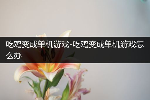 吃鸡变成单机游戏-吃鸡变成单机游戏怎么办