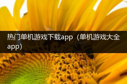 热门单机游戏下载app（单机游戏大全app）
