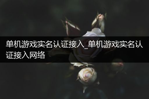 单机游戏实名认证接入_单机游戏实名认证接入网络