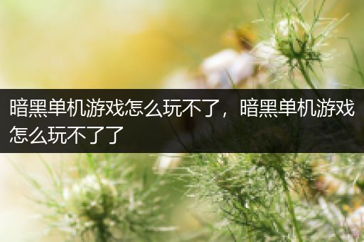 暗黑单机游戏怎么玩不了，暗黑单机游戏怎么玩不了了
