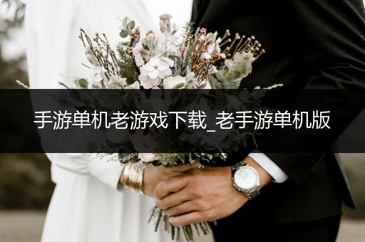 手游单机老游戏下载_老手游单机版