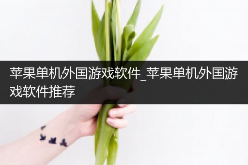 苹果单机外国游戏软件_苹果单机外国游戏软件推荐