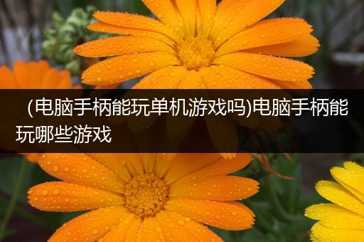 （电脑手柄能玩单机游戏吗)电脑手柄能玩哪些游戏
