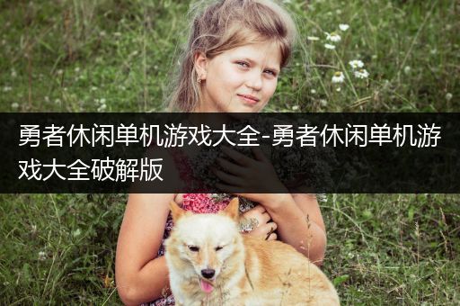 勇者休闲单机游戏大全-勇者休闲单机游戏大全破解版