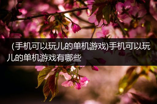 （手机可以玩儿的单机游戏)手机可以玩儿的单机游戏有哪些